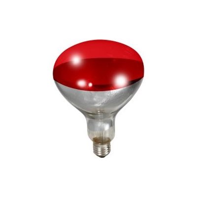 Miller Little Giant® Red Heat Lamp Bulb, 250 W